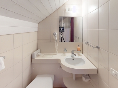 Hotel-Restaurant-Seegarten-Marina-Bathroom